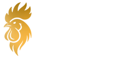ROMULO NICASTRO